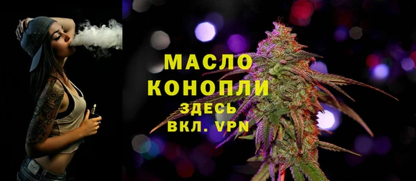 стаф Новозыбков