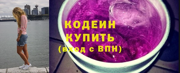 стаф Новозыбков