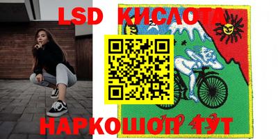 гидропоника Бийск