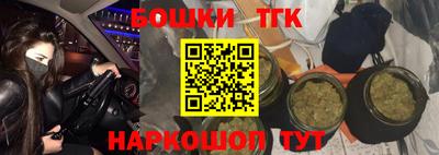 прущие крисы Аргун