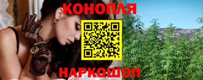 прущие крисы Аргун