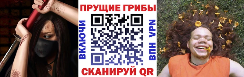 Псилоцибиновые грибы GOLDEN TEACHER как найти Волгоград