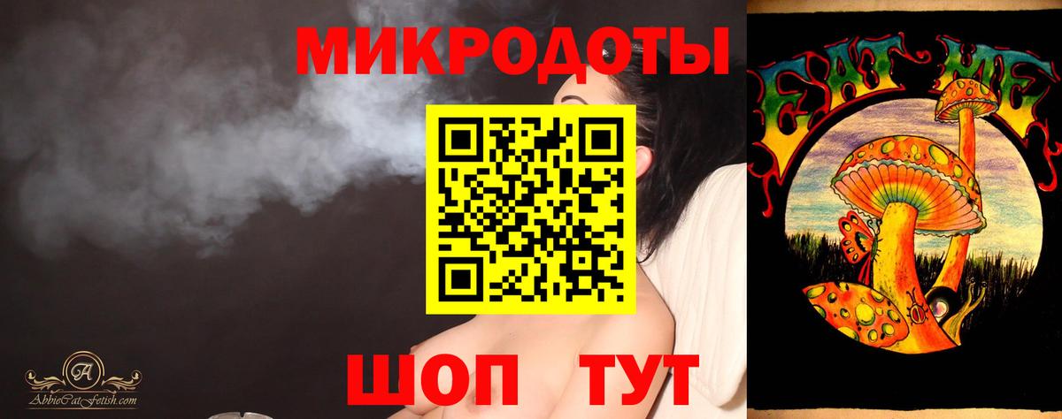 Галлюциногенные грибы Psilocybe Волгоград