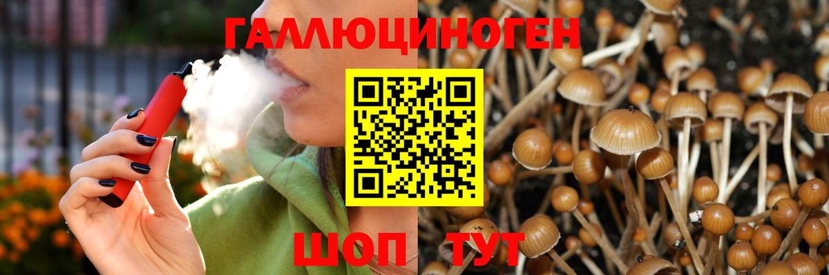 Волгоград  Галлюциногенные грибы MAGIC MUSHROOMS  Вход с VPN 